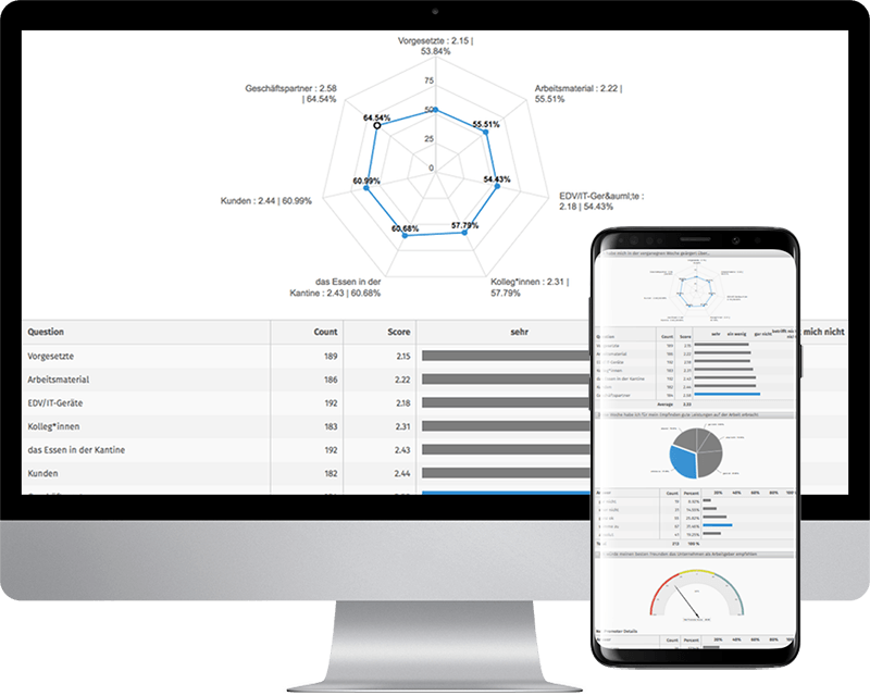 standardauswertung online umfrage