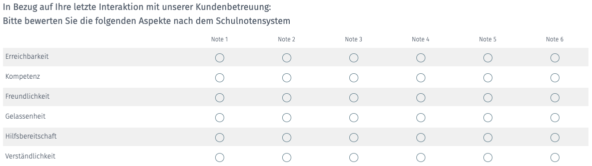 Kundenbefragung Beispiele Tipps Software Fragebogen