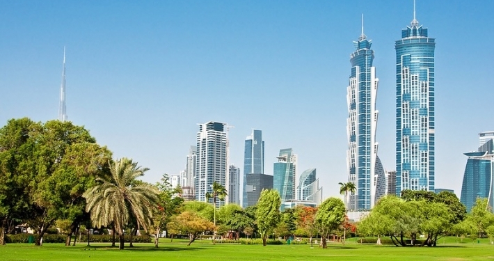 Клиентский опыт CX Software Dubai Parks
