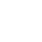 Icon QP