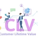 Customer Lifetime Value Meta