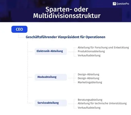 Multi-divisional structure