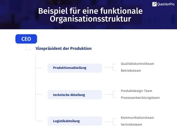 Functional organizational structure